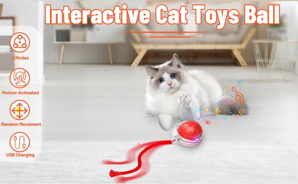 SpinTail Fun Ball - Pet Haus