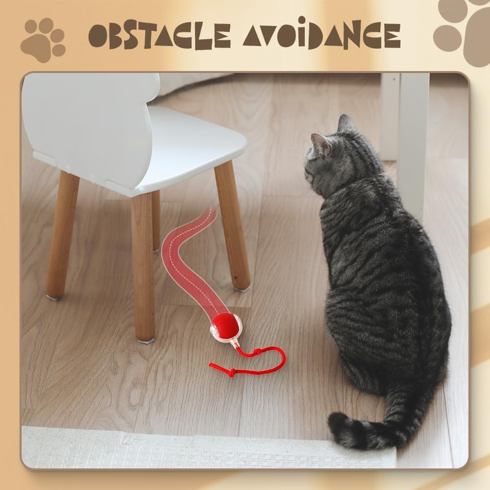 SpinTail Fun Ball - Pet Haus