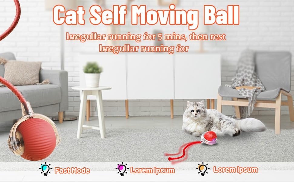 SpinTail Fun Ball - Pet Haus