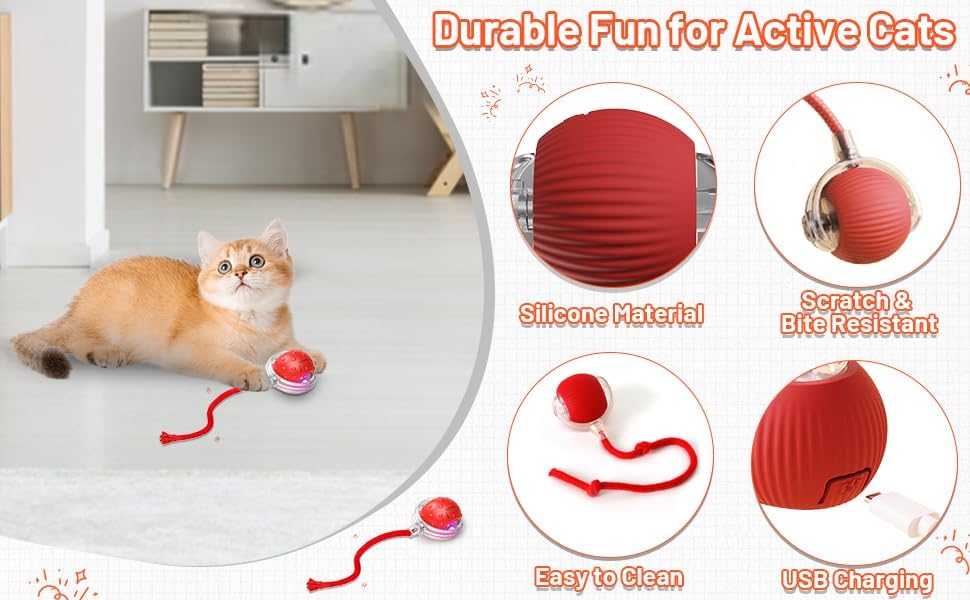 SpinTail Fun Ball - Pet Haus