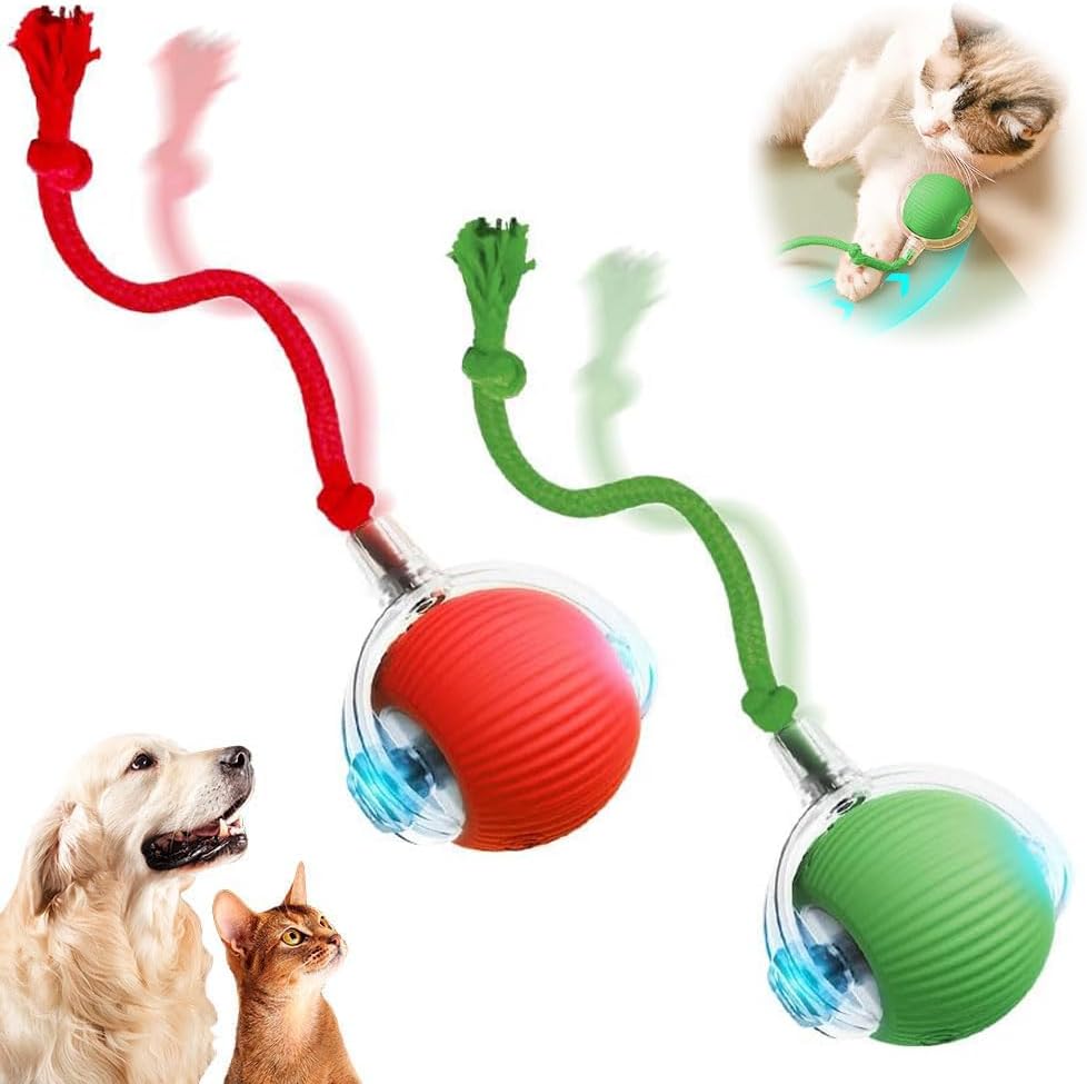 SpinTail Fun Ball - Pet Haus