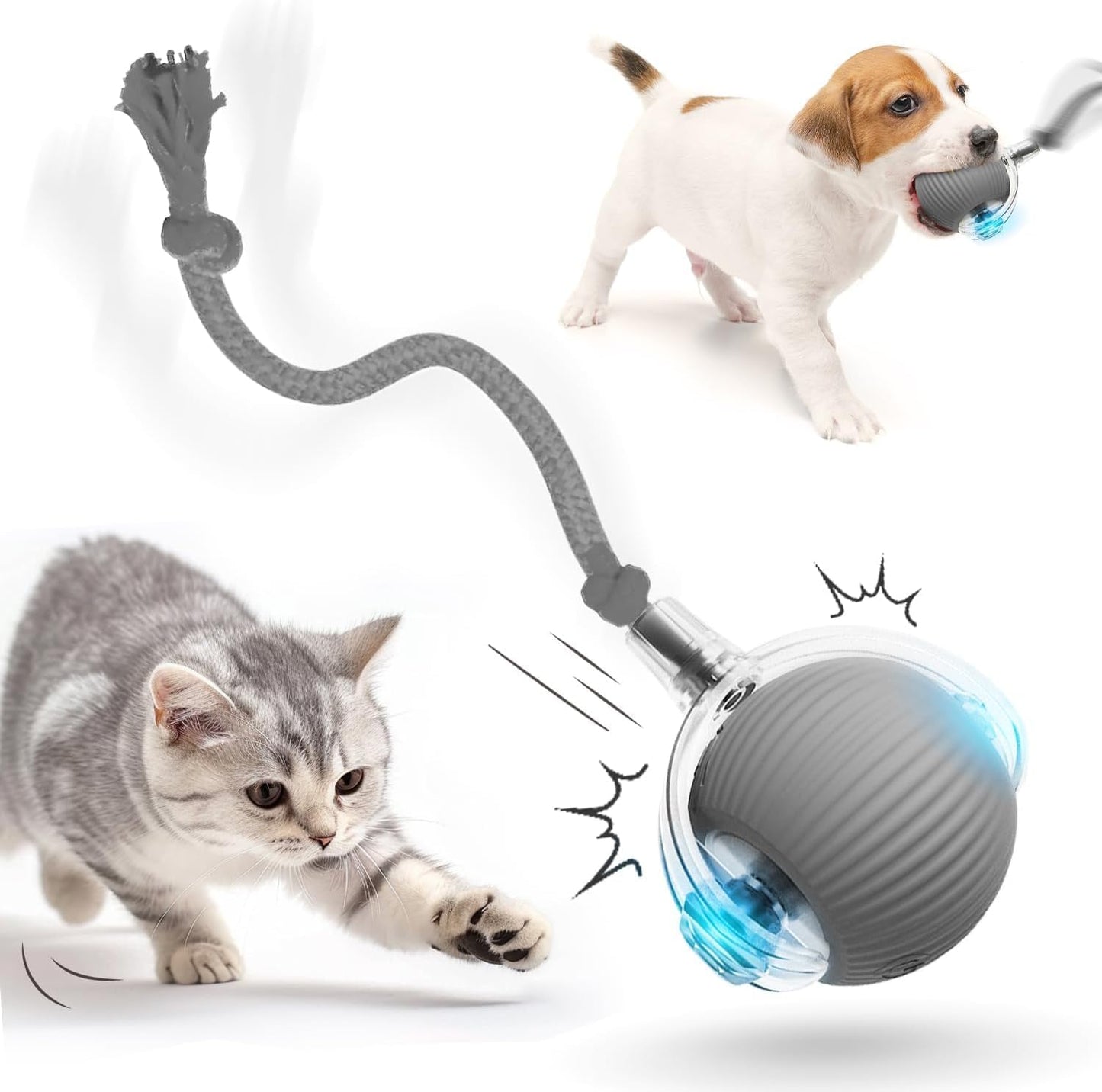 SpinTail Fun Ball - Pet Haus