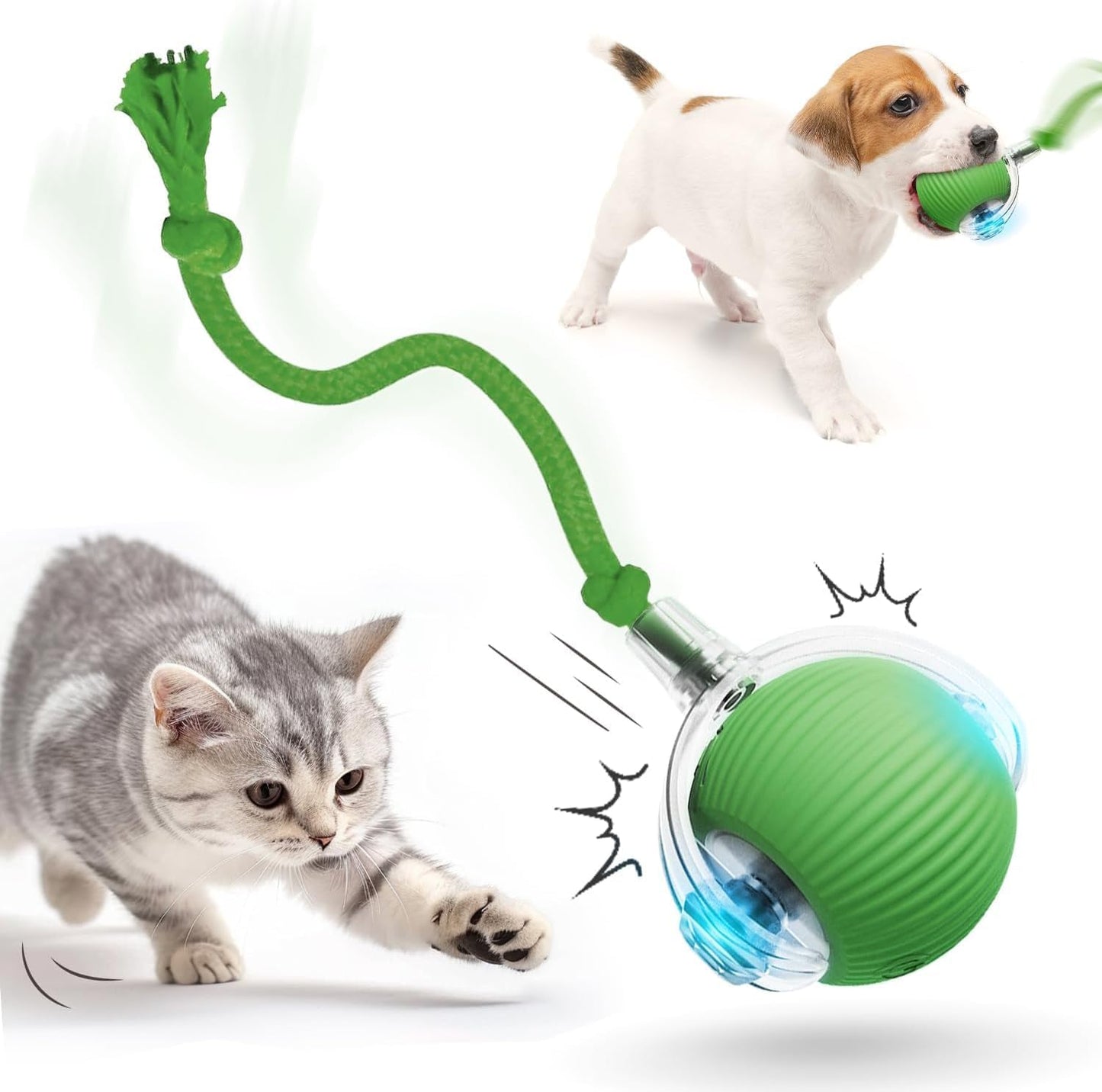 SpinTail Fun Ball - Pet Haus