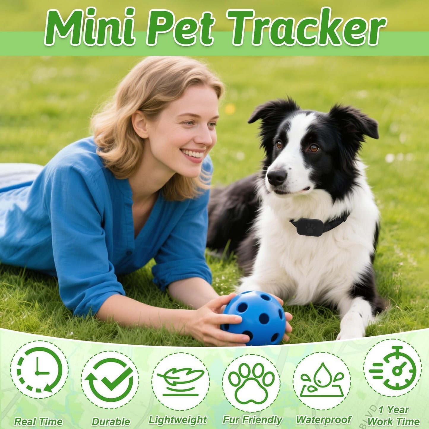 SafePaw GPS Tracker - Pet Haus