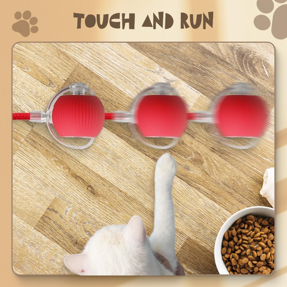 SpinTail Fun Ball - Pet Haus