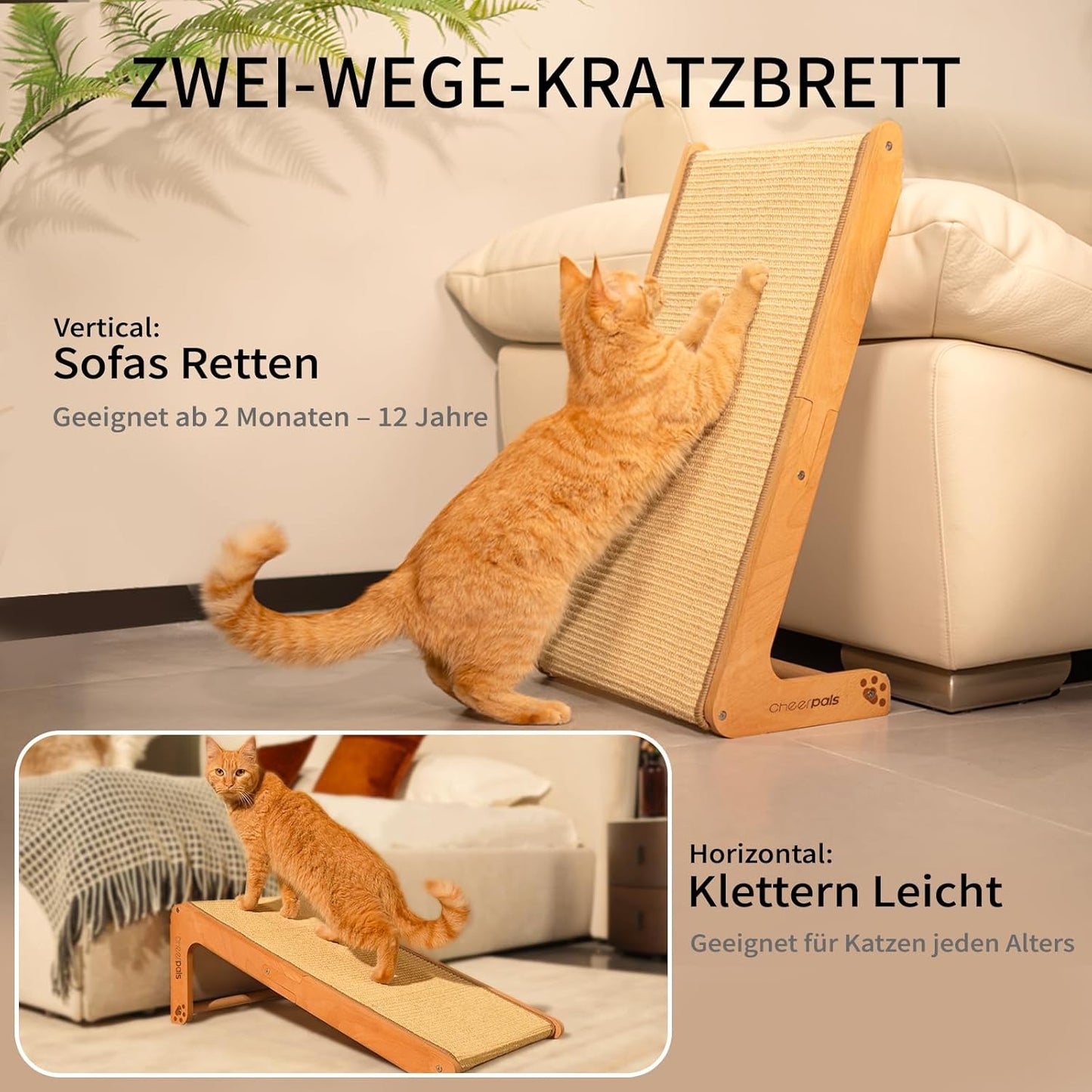 ScratchRamp Pro - Pet Haus