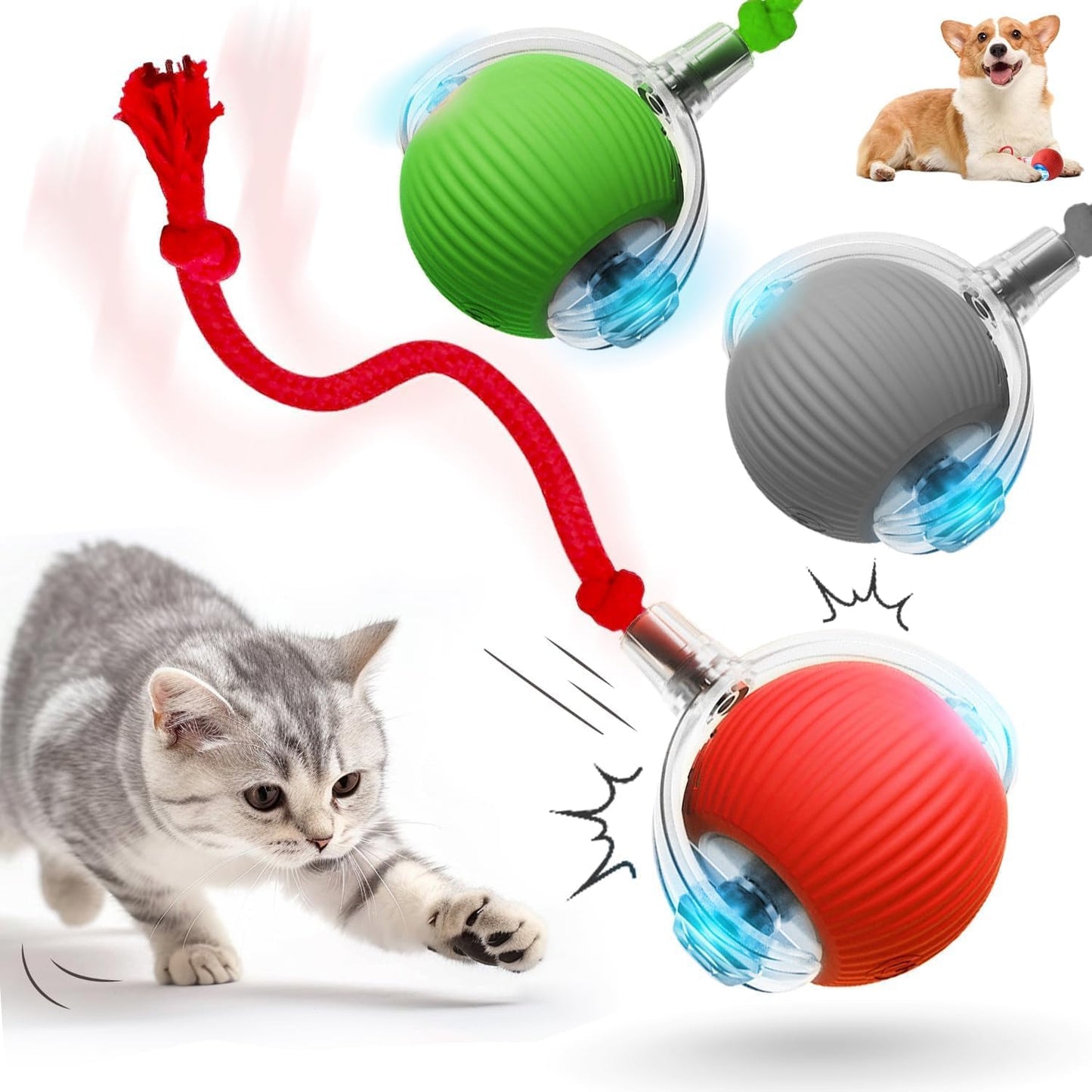 SpinTail Fun Ball - Pet Haus