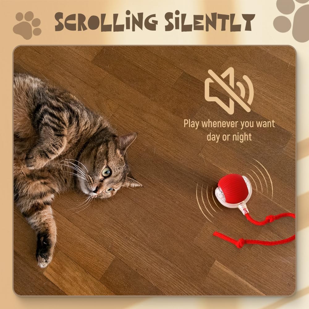 SpinTail Fun Ball - Pet Haus