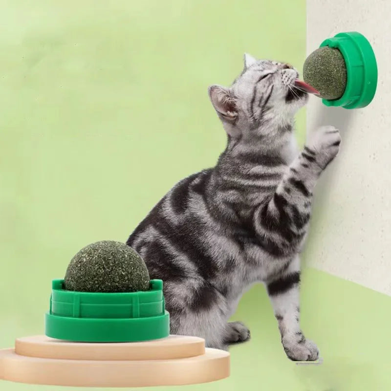 Catnip Lick Ball - Pet Haus