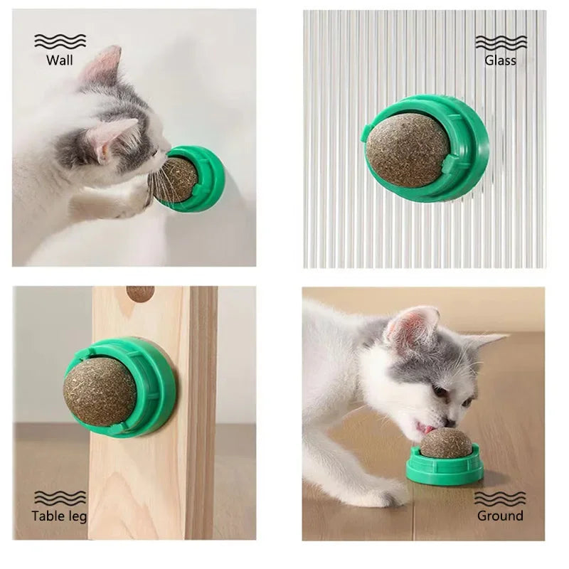Catnip Lick Ball - Pet Haus