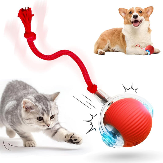 SpinTail Fun Ball - Pet Haus
