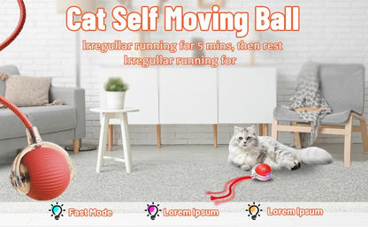 SpinTail Fun Ball - Pet Haus