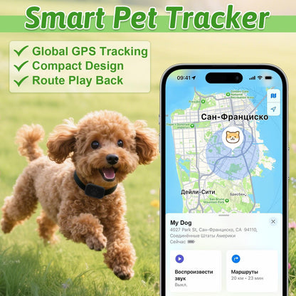 SafePaw GPS Tracker - Pet Haus