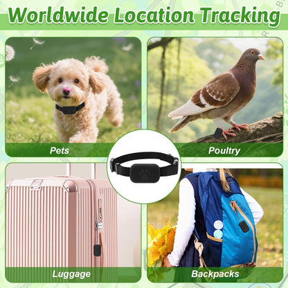 SafePaw GPS Tracker - Pet Haus
