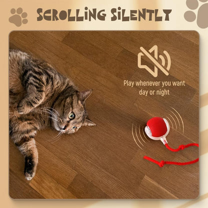 SpinTail Fun Ball - Pet Haus